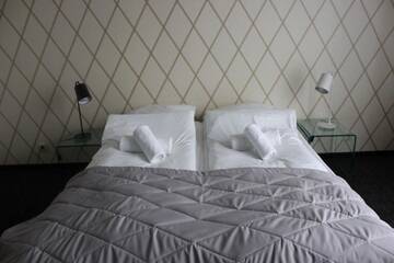 Фото номера Двухместный номер с 1 кроватью Отели типа «постель и завтрак» Arboretum Hotel г. Wolbórz 12